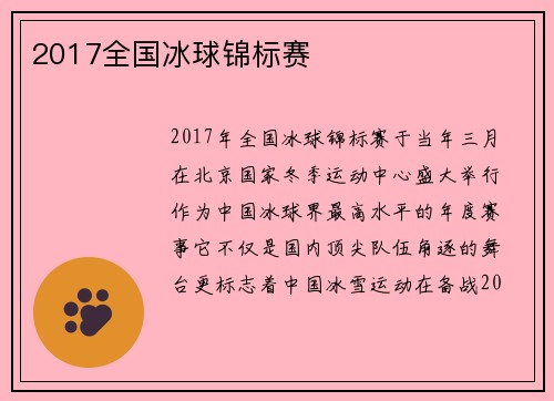 2017全国冰球锦标赛